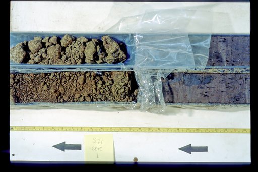 Nile Delta Core