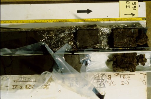 Nile Delta Core