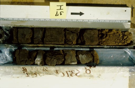 Nile Delta Core
