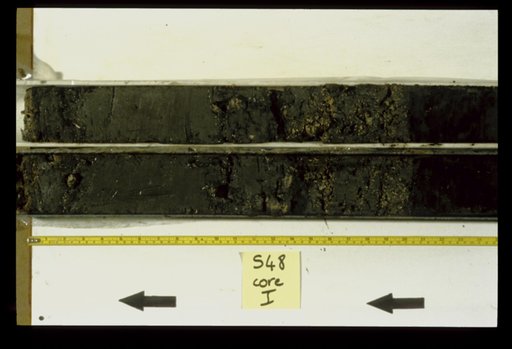 Nile Delta Core