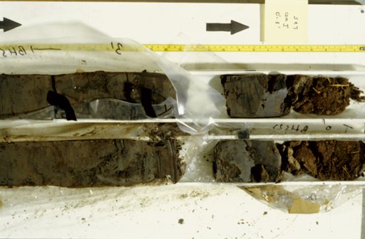 Nile Delta Core