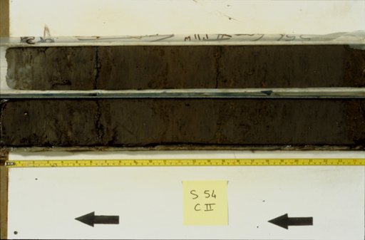 Nile Delta Core