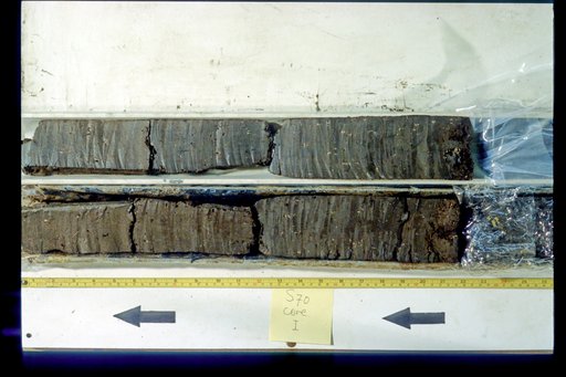 Nile Delta Core