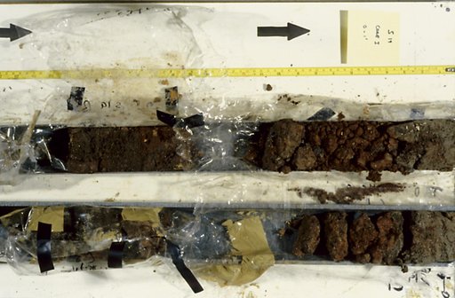 Nile Delta Core