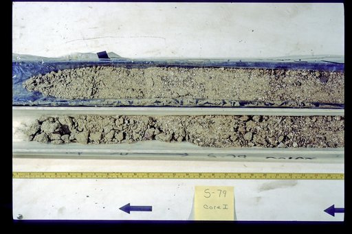 Nile Delta Core