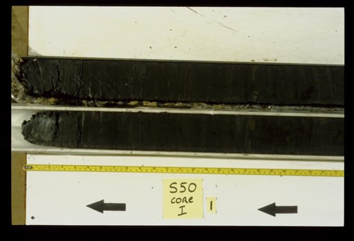 Nile Delta Core