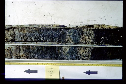 Nile Delta Core