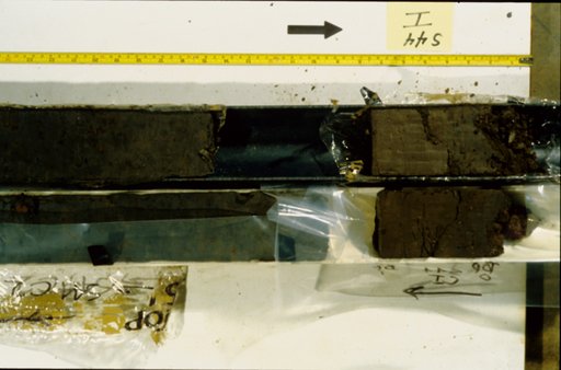 Nile Delta Core