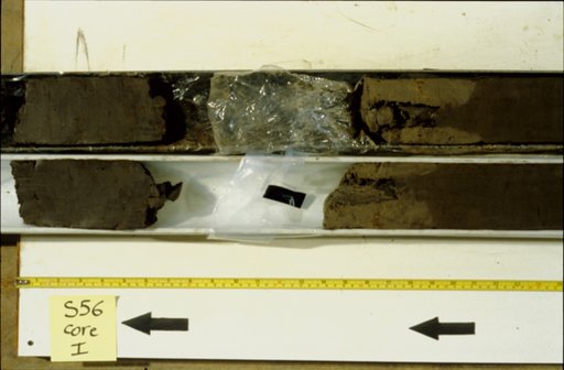 Nile Delta Core