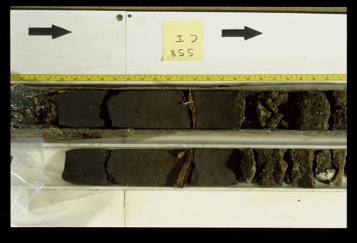 Nile Delta Core