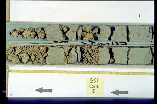 Nile Delta Core