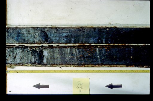 Nile Delta Core