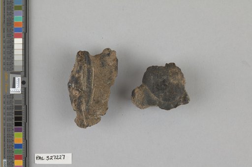 Astacus chenoderma Cope