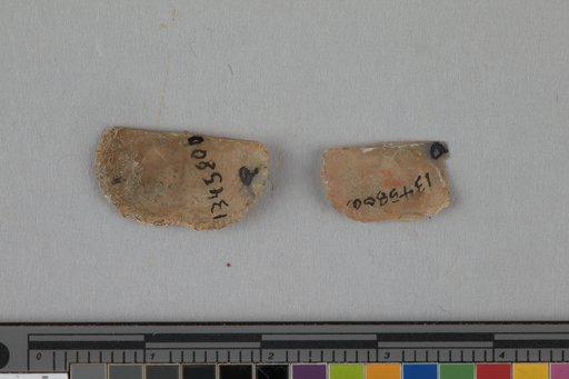 Lissochonetes geinitzianus (Waagen)