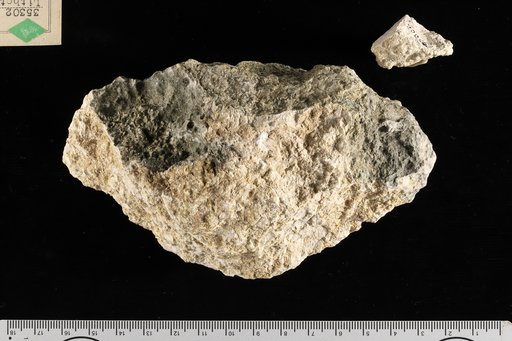 Lithothamnium isthmi Howe