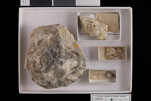Lithothamnium isthmi Howe