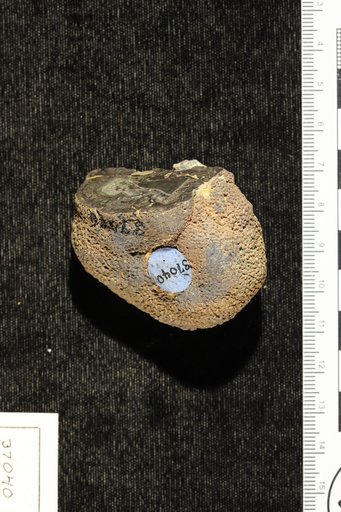 Lithothamnium ? ellisianum Goldman & Howe