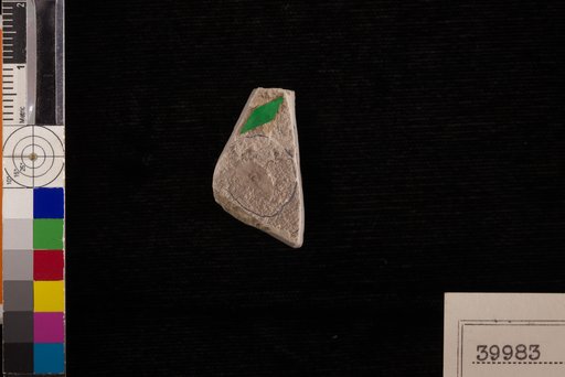 Carpolithes hiraeaformis Berry