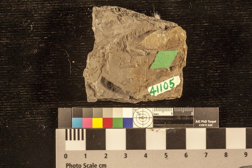 Palaeophycus ? striatus Hall