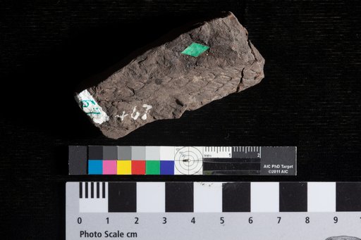 Abietites dubius Lesquereux