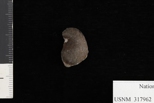 Anacardium kirni Berry