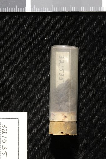 Nyssa biflora Walter