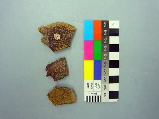 Trionyx leptomitus Cope, 1875