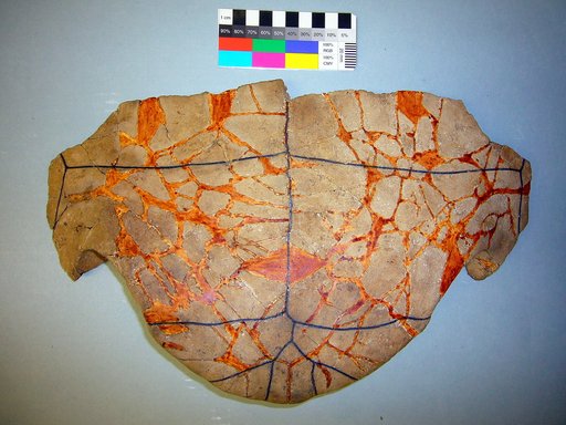 Taphrosphys miocenica Collins & Lynn, 1936