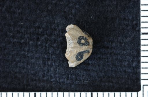 Pentecatobasis excavata Moore