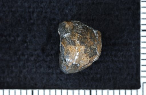 Parisocrinus ? pocilliformis Goldring