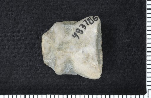 Halysiocrinus cumberlandensis Ausich et al.