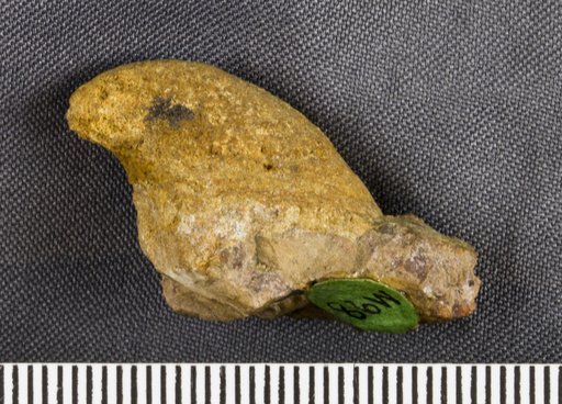 Proplina extensum