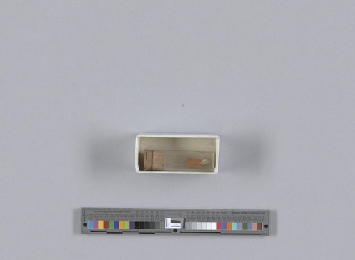 NSF ADBC EPICC TCN