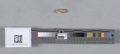 NSF ADBC EPICC TCN