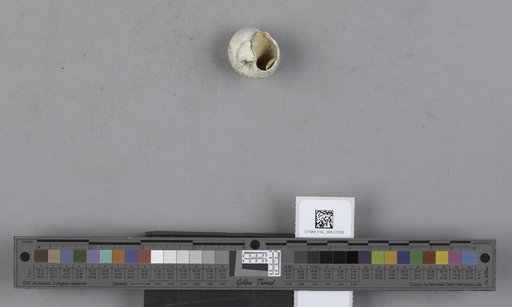 NSF ADBC EPICC TCN