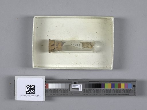 NSF ADBC EPICC TCN