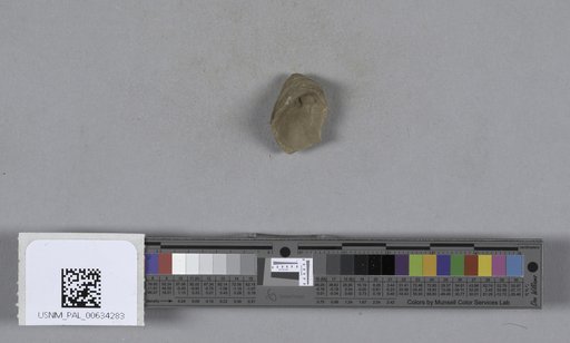 NSF ADBC EPICC TCN