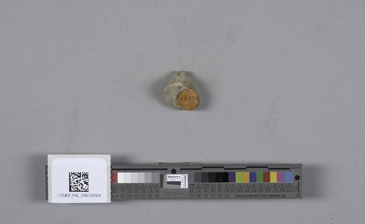 NSF ADBC EPICC TCN