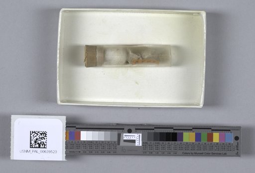 NSF ADBC EPICC TCN