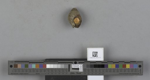 NSF ADBC EPICC TCN