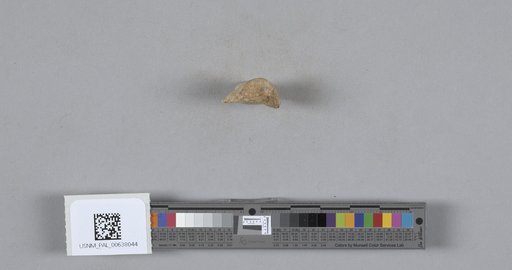 NSF ADBC EPICC TCN