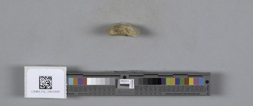NSF ADBC EPICC TCN