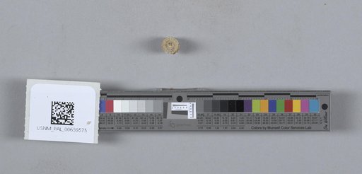 NSF ADBC EPICC TCN