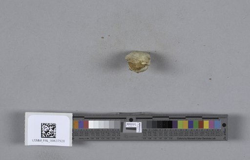 NSF ADBC EPICC TCN