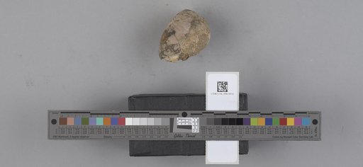 NSF ADBC EPICC TCN