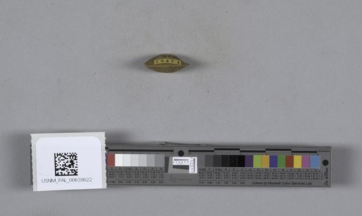 NSF ADBC EPICC TCN