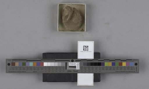 NSF ADBC EPICC TCN