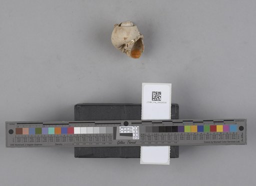 NSF ADBC EPICC TCN