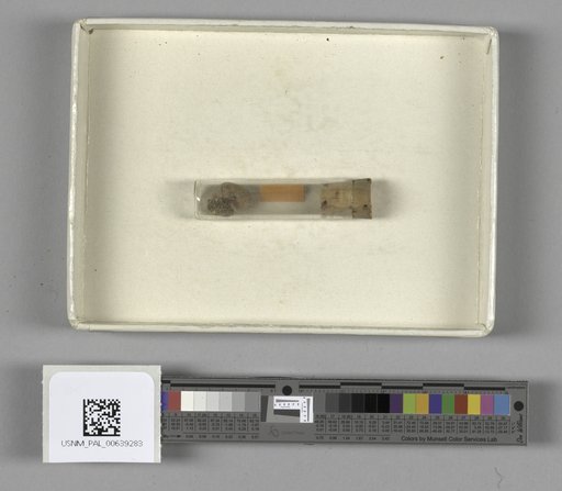 NSF ADBC EPICC TCN