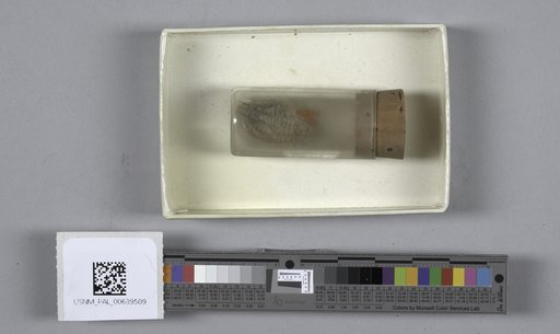 NSF ADBC EPICC TCN